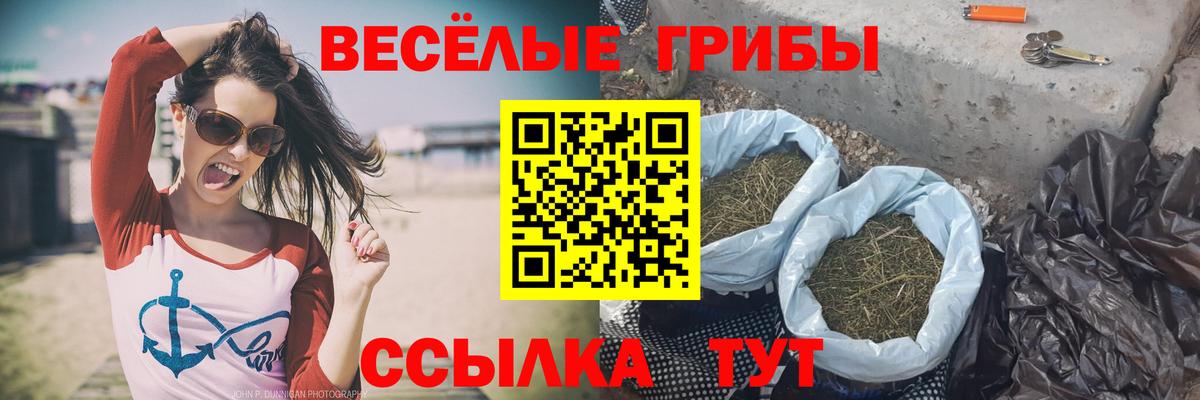 Галлюциногенные грибы Magic Shrooms  Вход с VPN  Кропоткин 