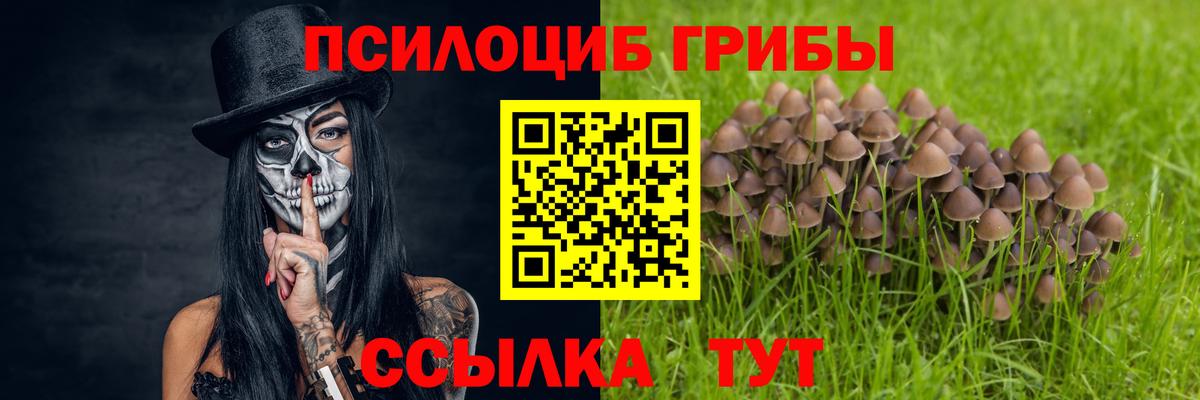 Галлюциногенные грибы мухоморы Кропоткин